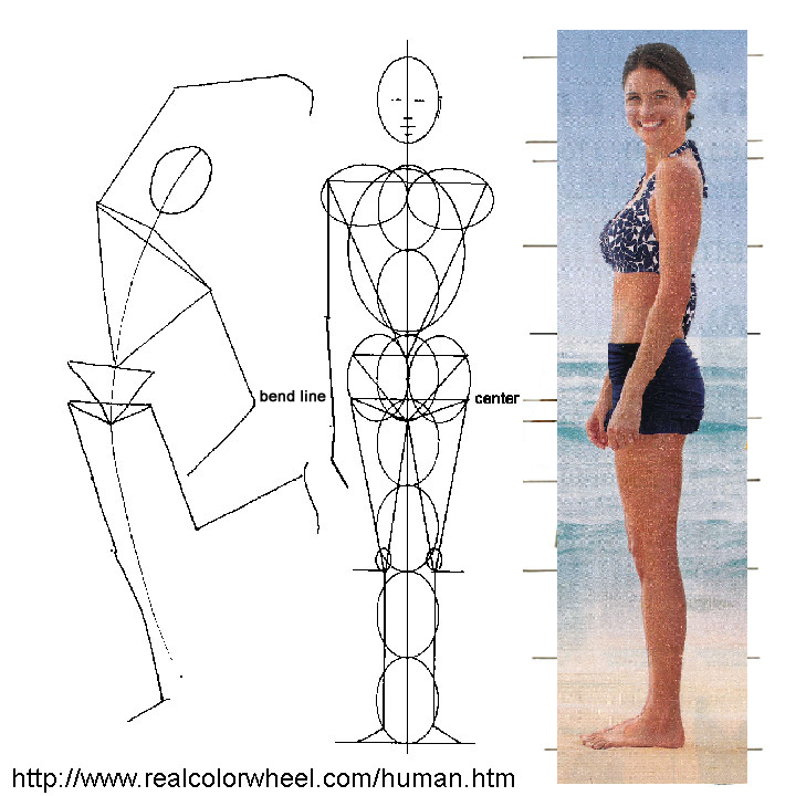 proportions